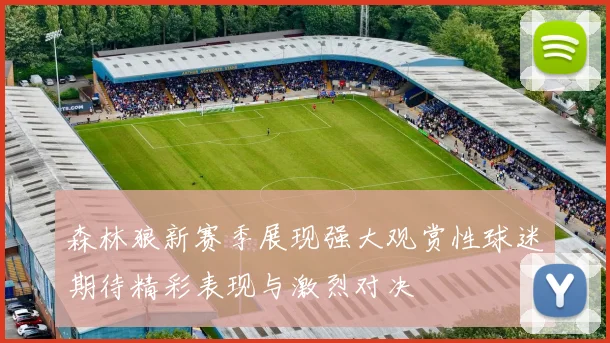 森林狼新赛季展现强大观赏性球迷期待精彩表现与激烈对决
