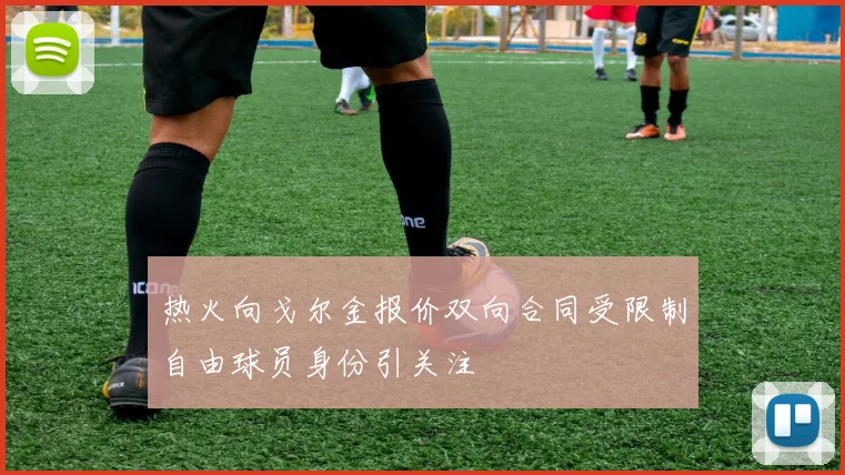 热火向戈尔金报价双向合同受限制自由球员身份引关注
